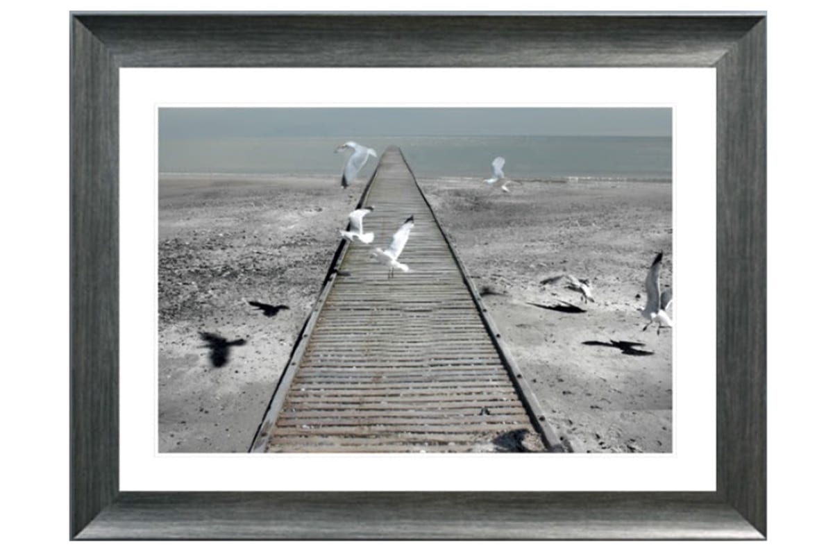 Jetty With Seabirds Picture